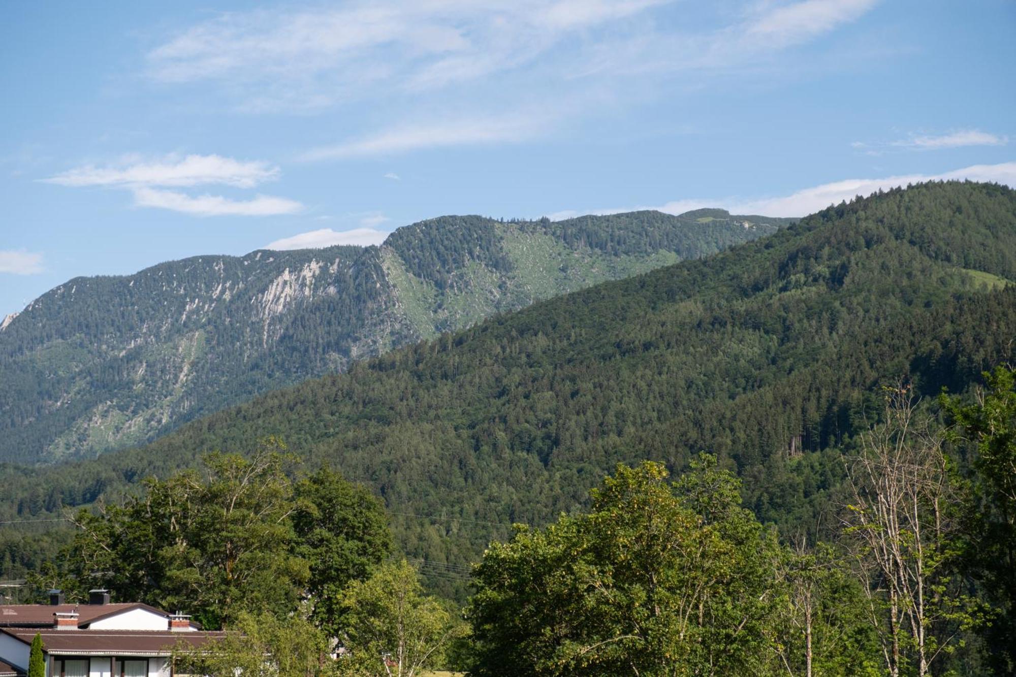 Suite Apartment Modern Getaway - Neu Renoviert - Strobl Am Wolfgangsee Εξωτερικό φωτογραφία
